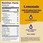 Lemonade Stickpack 20 Servings